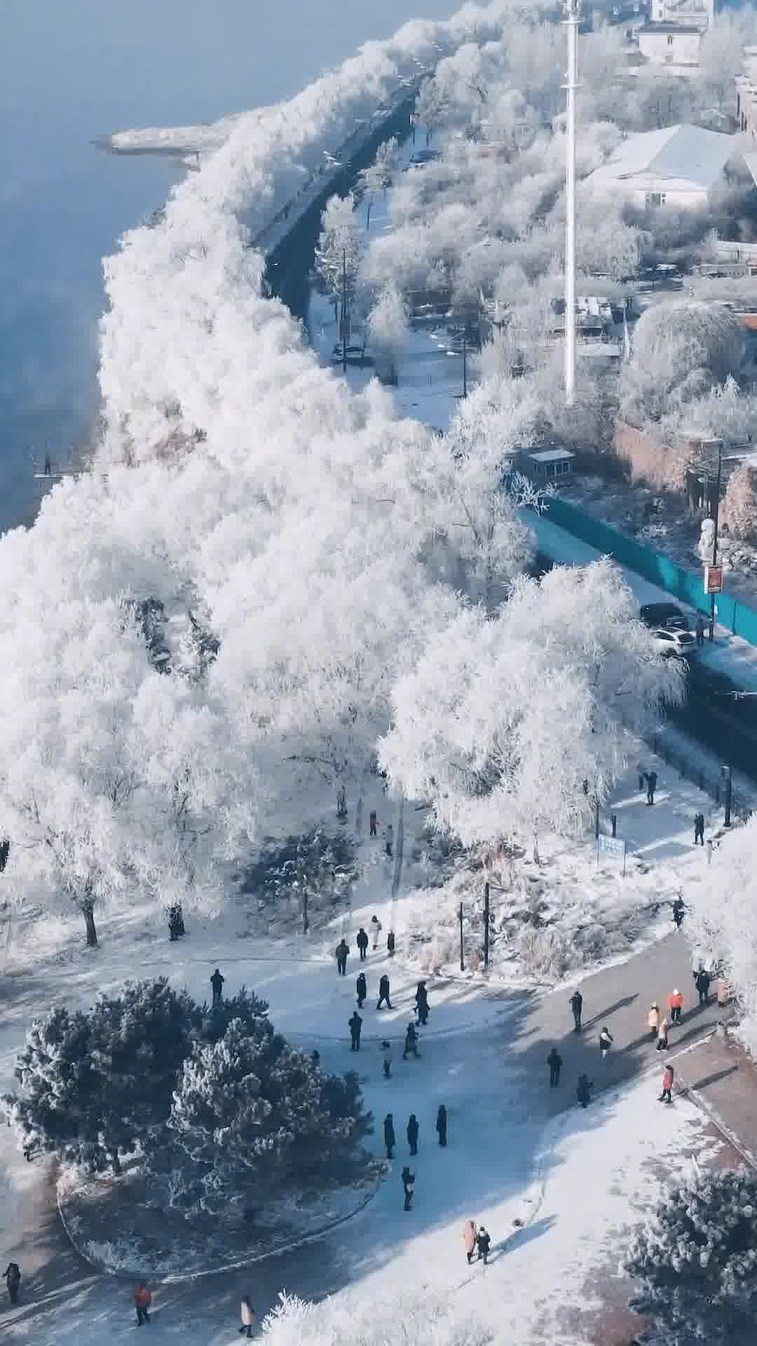 吉林，东北明珠，历史与现代的交响乐章